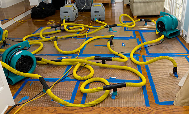 Professional Crawl Space Water Removal technician working in West Kingston, RI